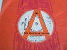 The Rivingtons 'A Rose Growing In The Ruins' rare UK CBS northern soul demo 45
