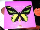 THE BEE GEES -   Rare Precious & Beautiful Vol 2,   ORIG 1969 UK LP/ inner....EX