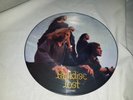 LP PARADISE LOST * Gothic * PIC-LP* 1991, ohne Hülle, Limited Edition