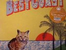BEST COAST - Crazy For You - Vinyl (LP + MP3 download code)