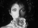 Kate Bush : Remastered in Vinyl II VINYL 12