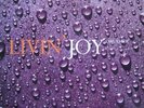 Livin Joy Dreamer Vinyl Single 12inch NEAR MINT MCA