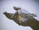 Gregory Alan Isakov with the Colorado Symphony (Vinyl-2016) NEW-Free Shipping