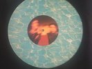 Nirvana Smells Like Teen Spirit 12 inch vinyl Picture Disc