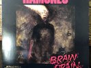 RAMONES “BRAIN DRAIN” **RARE PROMO PUNK SIRE** LP