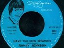 RANDY JOHNSON Have You Been Dreaming GARAGE PSYCH 45 on DANNY JONES M-