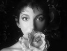 Kate Bush 'Remastered In Vinyl Vol. 2' Deluxe 3 x 12