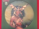 CHER   TAKE ME HOME (1979) RARE PICTURE DISC LP   CASABLANCA NBPIX7133
