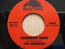 THE SHINDIGS - THUNDER REEF - 7