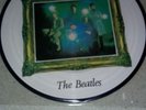 The beatles 7 vinyl picture disc Penny Lane /Strawberry Fields forever