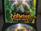 DESTRUCTION - Picture LP 