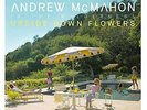 MCMAHON,ANDREW IN THE WILDE...-UPSIDE DOWN FLOWERS (US IMPORT) VINYL LP NEW