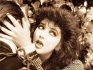 KATE BUSH Remastered In Vinyl 1 4 X VINYL LP BOXSET NEW & SEALED