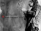 CHRIS CORNELL WHEN BAD DOES GOOD BLACK FRIDAY RSD 2018 7