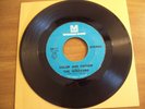 THE WINSTONS Metromedia 45 RPM COLOR HIM FATHER / AMEN, BROTHER - HEAR
