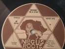Rose Marie - Wishing On A Star/The Way We Were - RARE REGGAE/LOVERS ROCK NERT016