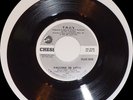 THE T.N.J.'s DON'T FORGET ABOUT ME 45 FALLING IN LOVE CHESS PROMO-7