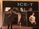Ice-T Original Gangster OG Lp