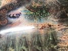 Pink Floyd - A Saucerful Of Secrets - Columbia - Black Label -2nd Pressing