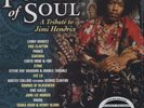 Jimi Hendrix, Power Of Soul 140g 2LP from the Michael Hobson Archives