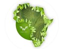 RSD BLACK FRIDAY - WEEZER - AFRICA - 7” DIE CUT PICTURE DISC SEALED NEW