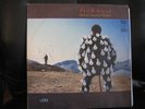 Pink Floyd, Delicate Sound of Thunder Vinyl LP Record, EMI, RARE RUSSIAN PROMO