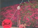 Feist, Pleasure  Vinyl Record *NEW*