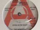 The Monitors   **  Crying In The Night  /  The Contours ** Baby Hit And Run **