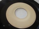 JAN AND DEAN 33 RPM 7