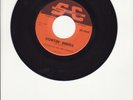 Little Joe And The Ramrods- Hurtin' Inside- Rare 60's Minnesota Garage Rock 45