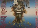 Iron Maiden The Evil That Men Do 12
