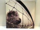 Pearl Jam - Vs. LP - Epic, 1993 Original Gatefold - FREE SHIPPING
