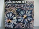 Big Sleep  Bluebell Wood  RARE PROG on GLOBAL RECORDS