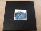 VERY RARE  The Cult Sonic Temple HOLOGRAM COVER Canadian Import LIMITED EDITION