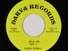 Funk Soul 45 - Sunny Ridell - Soul 100 - Darva - VG+ mp3
