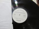 Terry Reid Seed of Memory   TEST PRESSING....True 1st Press.