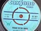Reggae In The Grass - Roland Alphonso