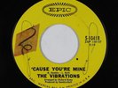 Northern Soul 45 - Vibrations - 'Cause You're Mine - Epic - mp3