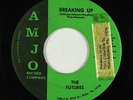 Sweet Soul/Funk 45 - Futures - Breaking Up - Amjo - mp3
