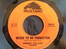 Bobby Fuller, Mustang 3011, Never To Be Forgotten & You Kiss Me, Good 60's sound