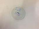 Sirus The One And Only EP RARE UK Hip Hop