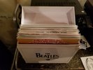 The Beatles in Mono [Vinyl Box Set] by The Beatles (Vinyl, Sep-2014, 14 Discs, …