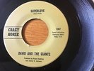 DAVID AND THE GIANTS - SUPERLOVE - CRAZY HORSE USA 7