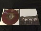 Foxing - The Albatross- Red/gold LP