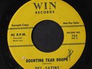 DEL-SATINS: Counting Tear Drops / Remember 45 (dj, tiny lbl tear/xol)