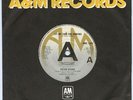 BRYAN ADAMS Rare UK 1979 PROMO 7