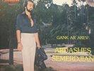 ARDASHES SEMERDJIAN Gan Ar Arev LP MID EAST Disco Funk Synth *LISTEN*
