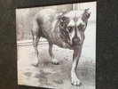 ALICE IN CHAINS - SAME ungespielte DoLP MINT Erstpressung EU 1995  COL 4811141