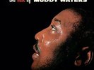 Muddy Waters - Best Of