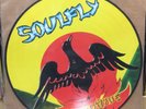 US SELLER Soulfly Primitive LP 2000 OG picture disc korn deftones sepultura